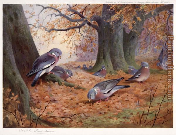 Wood Pigeon on Beech Mast painting - Archibald Thorburn Wood Pigeon on Beech Mast art painting